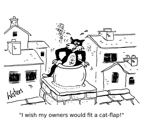 'I wish my owners would fit a cat-flap!'