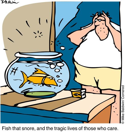 'Fish that snore, and the tragic lives of those that care'