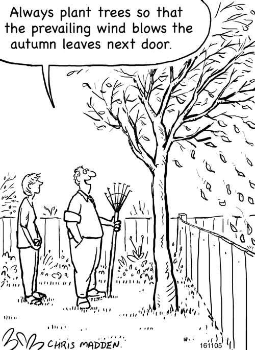 'Always plant trees so that the prevailing wind blows the autumn leaves next door'