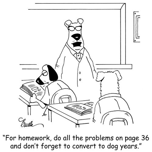 "For homework, do all the problems on page 36 and don't forget to convert to dog years."