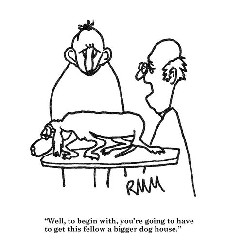 'Well, to begin with, you're going to have to get this fellow a bigger dog house.'