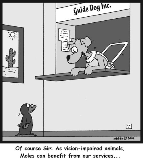 'Of course Sir: As vision-impaired animals, Moles can benefit from our services...'