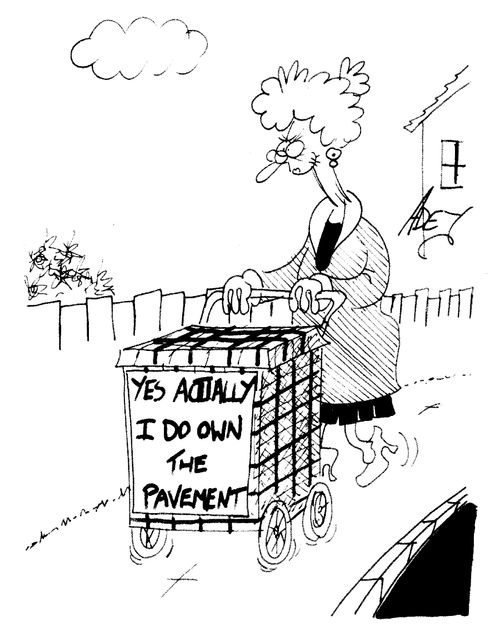 Sign on a shopper: 'Yes actually I do own the pavement'.