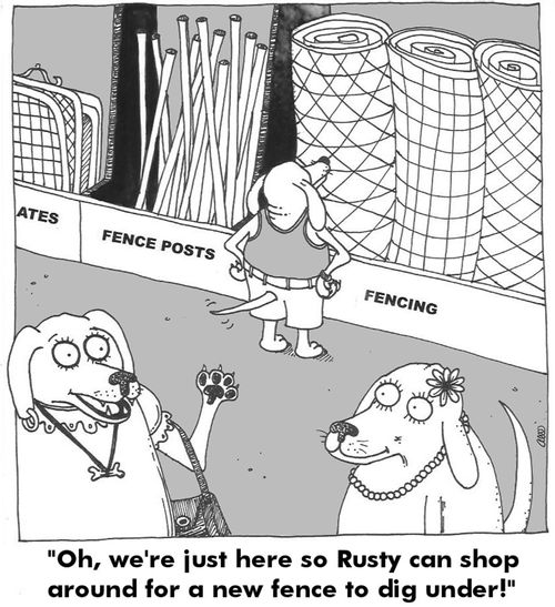 'Oh, we're just here so Rusty can shop around for a new fence to dig under.'