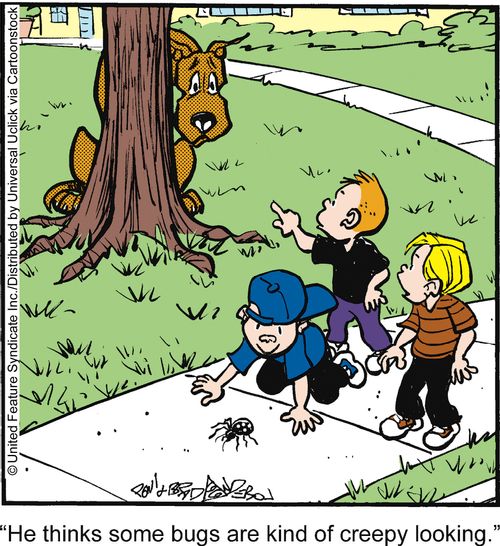 'He thinks some bugs are kind of creepy looking.