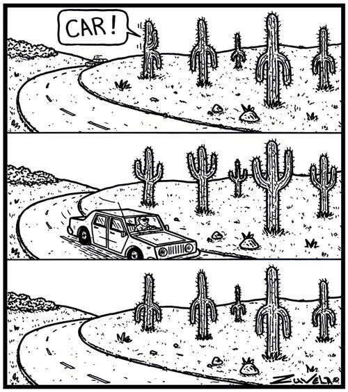 A Cactus warning His friends to put their branches up while a Human passes by.