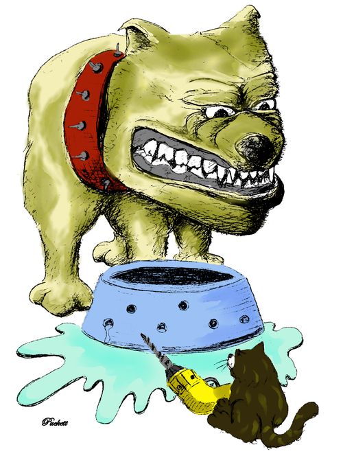 Doggie Bowl Drill