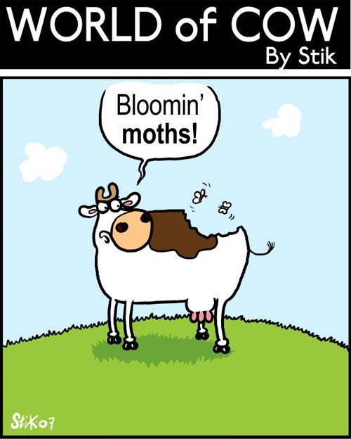Bloomin' moths!