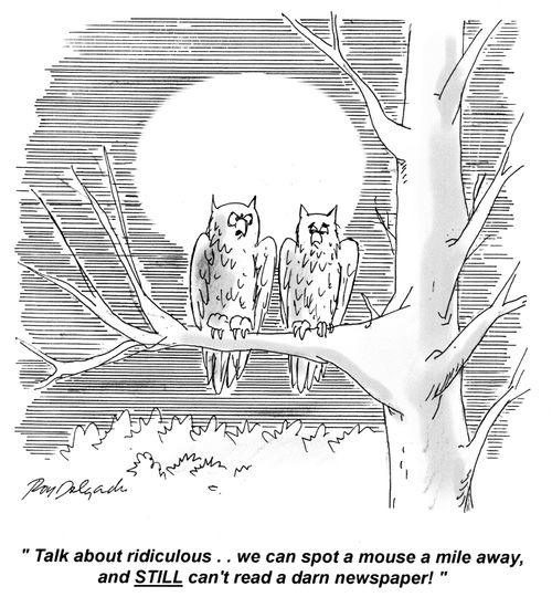'Talk about ridiculous... we can spot a mouse a mile away, and still can't read a darn newspaper!'