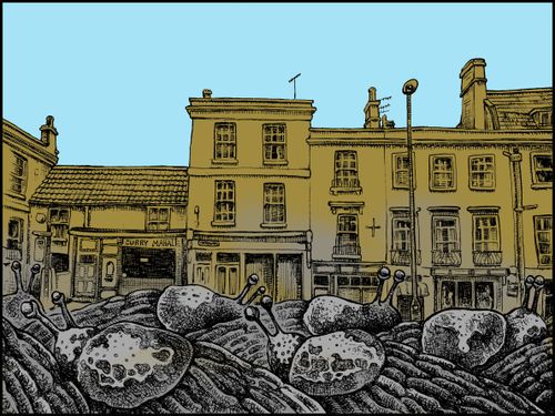 Slugs in Bath