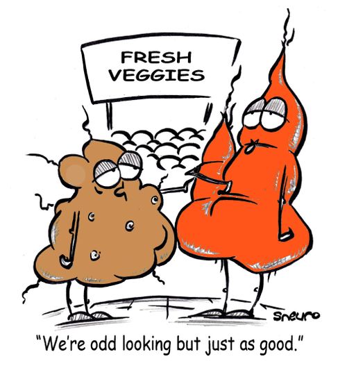 "We're odd looking but just as good."