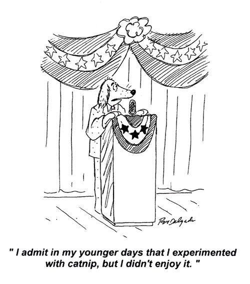 'I admit in my younger days that I experimented with catnip, but I didn't enjoy it.'