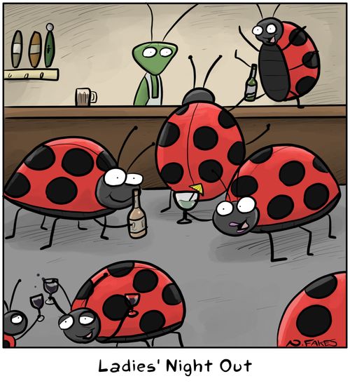 Ladies' Night Out