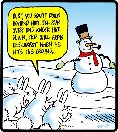 'Burt, you squat down behind him. I'll run over and knock him down, Ted will grab the carrot when he hits the ground. . .'