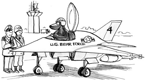 US Bear Force.