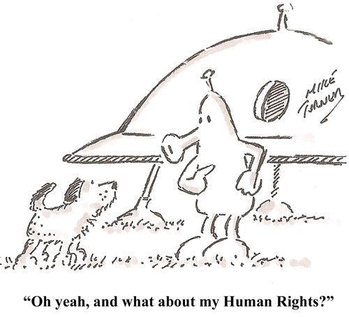 '...and what about my Human Rights?'