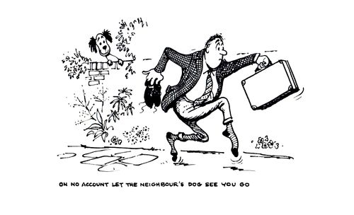 Looking After the Garden When You're Away: On no account let the neighbour's dog see you go...