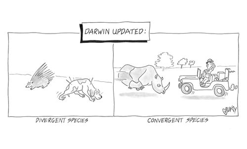 Darwin Updated: Divergent Species and Convergent Species.
