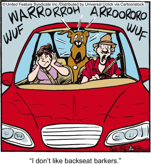'I don't like backseat barkers.'