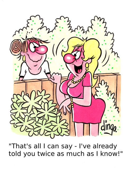'That's all I can say - I've already told you twice as much as I know!'