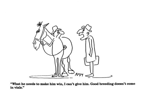 'What he needs to make him win, I can't give him....