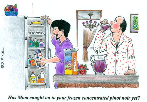 'Has Mom caught on to your frozen concentrated pinot noir yet?'