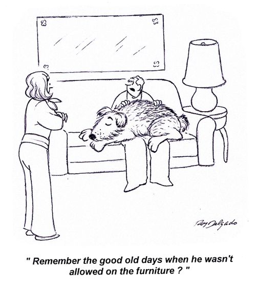 'Remember the good old days when he wasn't allowed on the furniture?'