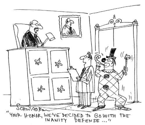 'Your Honor, we've decided to go with the inanity defense...'