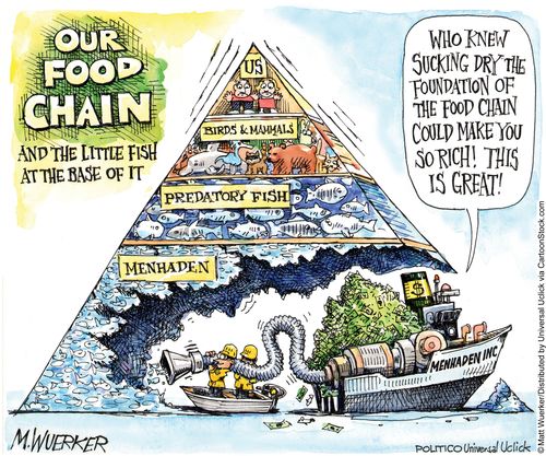 'Who know sucking dry the foundation of the food chain could make you so rich! This is great!'