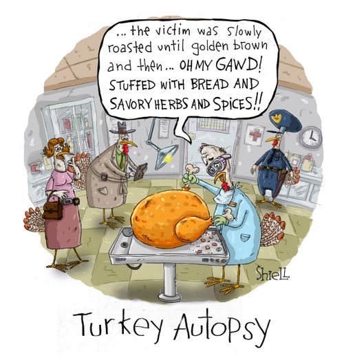 Turkey Autopsy