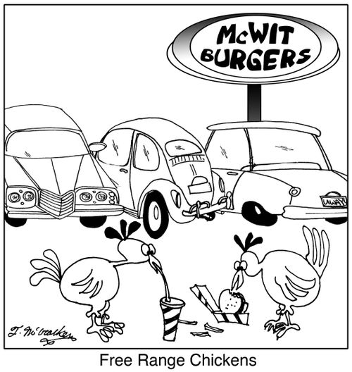 Free Range Chickens