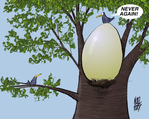 "Never Again." (bird sitting on a giant egg).