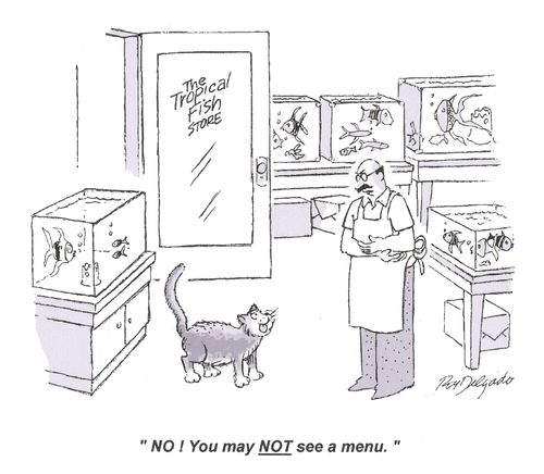 'No! You may not see a menu.'