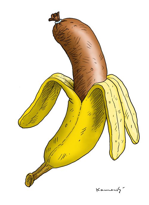 The banana