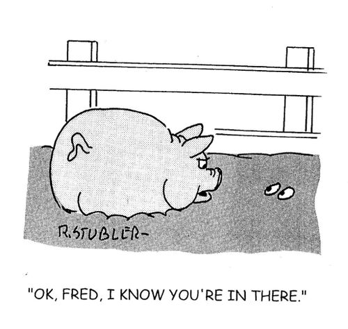 'Ok, Fred, I know you're in there.'