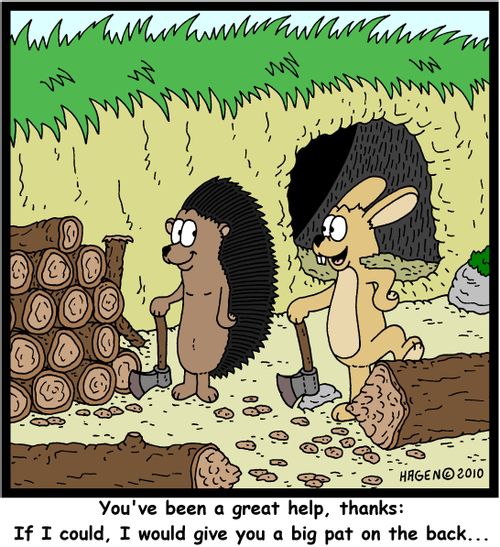 'You've been a great help, thanks: If I could, I would give you a big pat on the back...'