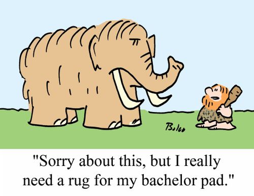 'Sorry about this, but I really need a rug for my bachelor pad.'