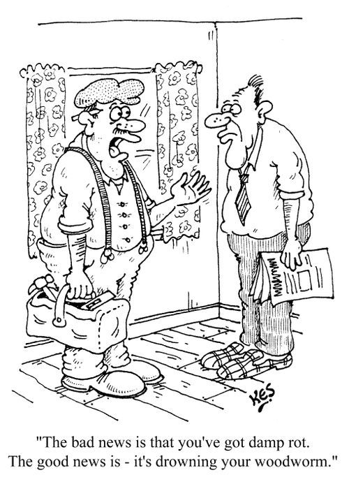 'The bad news is that you've got damp rot. The good news is - it's drowning your woodworm.'