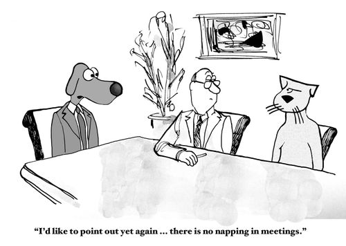 "I'd like to point out yet again...there is no napping in meetings."