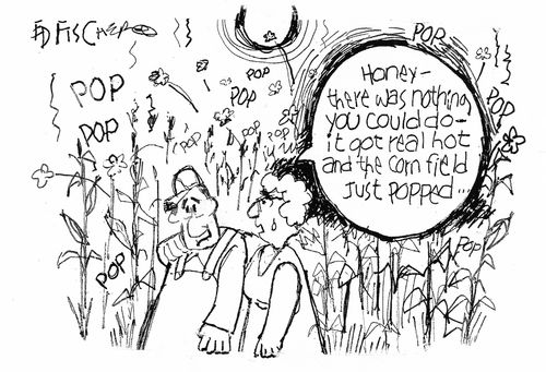 "Honey - there was nothing you could do - it got real hot and the corn field just popped..."