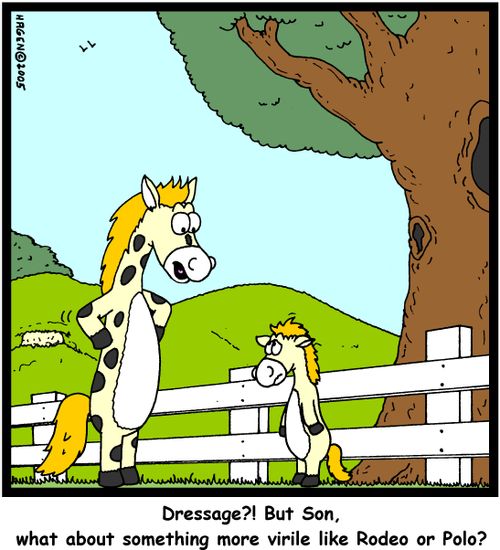 'Dressage?! But Son, what about something more virile like Rodeo or Polo?'