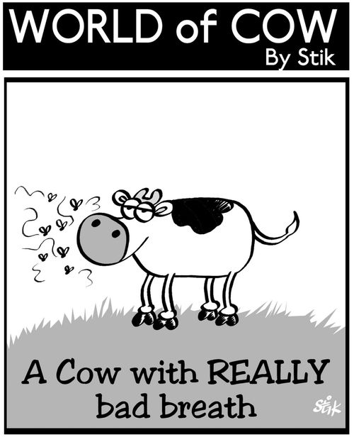 'A Cow with REALLY bad breath'.