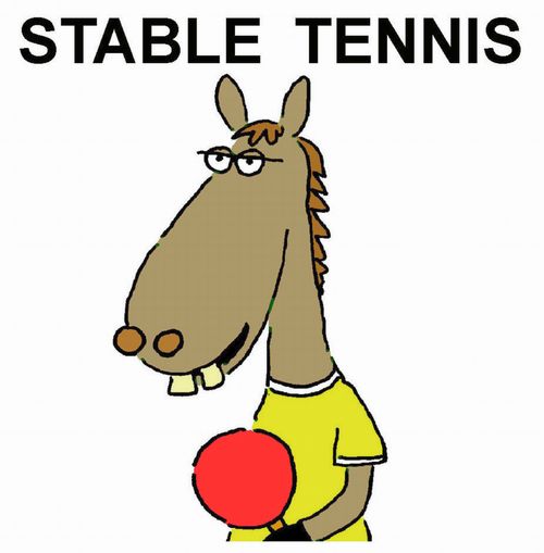 Stable tennis