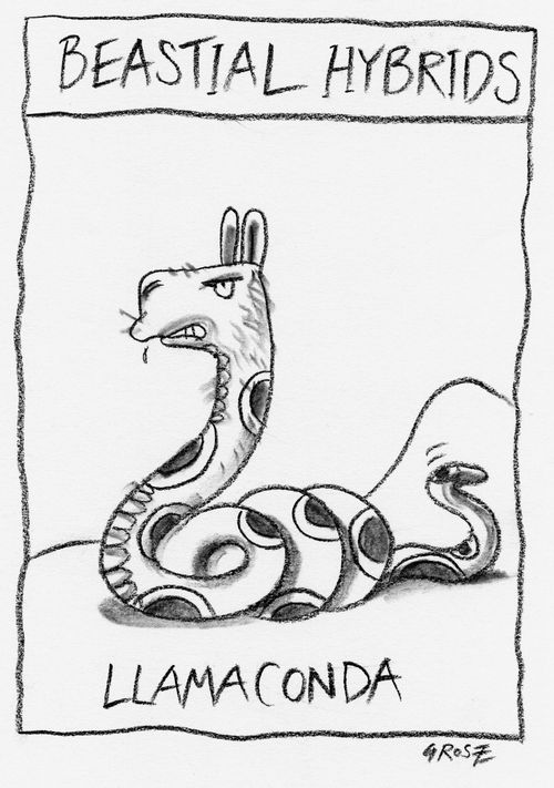 'Beastial Hybrids: Llamaconda.'