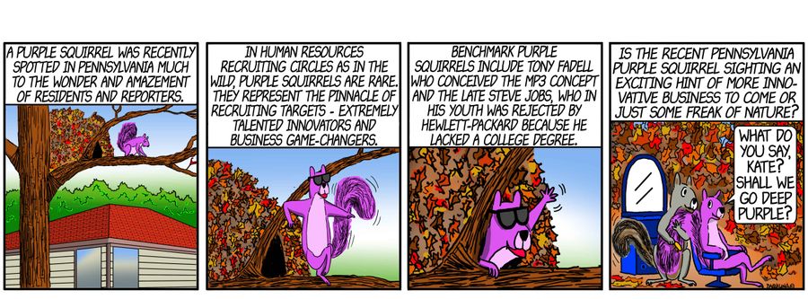 Purple Squirrel