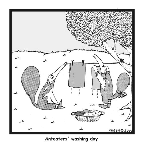 Anteater's Washing Day