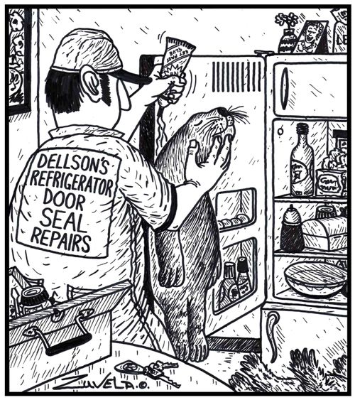Dellson's refrigerator door seal repairs.