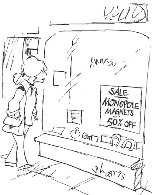 'Sale - monopole magnets - 50% off'