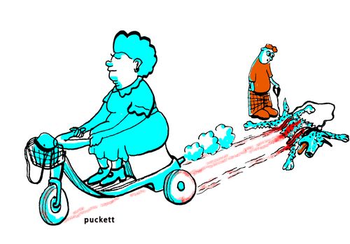 An elderly woman runs over a dog with her motorized scooter...