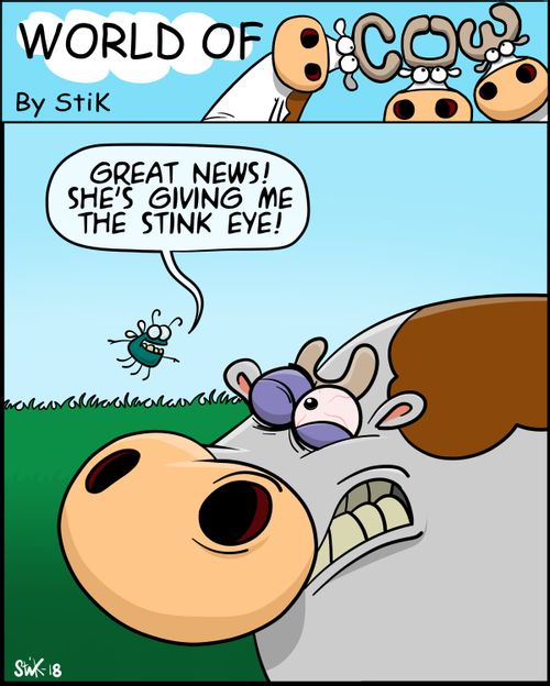 "Great news! She's giving me the stink eye!"
